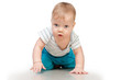 © golovianko - Baby boy crawling isolated on white