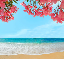 Oleanders And Sand