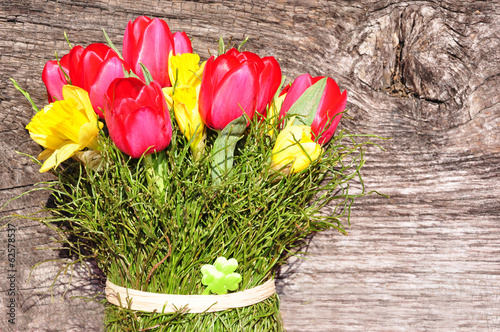 Frühlingsblüher mit Holzhintergrund – kaufen Sie dieses Foto und finden