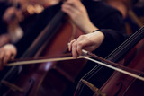 Fototapeta  - Hand of a woman playing the cello