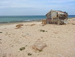 Beach Plage Oman Sultanat Moyen Orient Golfe Persique