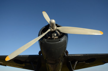 Wall Mural - Old propeller airplane