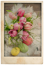 Easter Tulip Flowers Bouquet With Eggs. Vintage Postcard