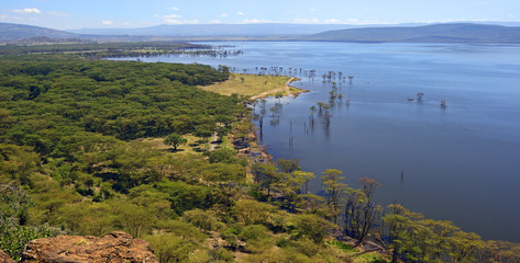 Naklejka na meble Lake Nakuru