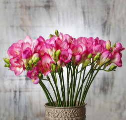 Poster - Pink freesia flowers on wooden background. Copy space