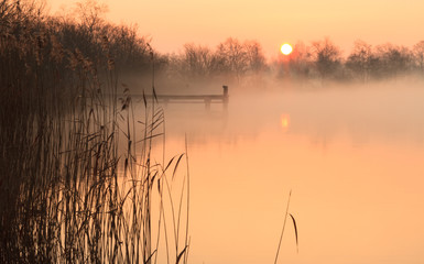 Fototapete - Foggy and yellow sunrise at a jetty in a lake.