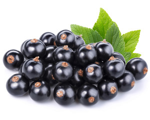 Wall Mural - black currant