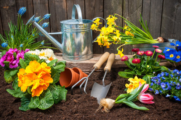 Canvas Print - Gardening