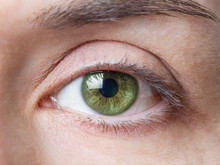 Closeup Of Female Natural Green Eye Without Makeup