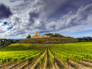 Wall Mural - vineyards in the Chianti region of Tuscany, Italy