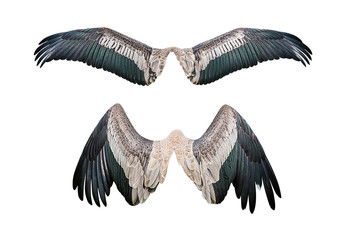 set of wing