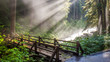 Sunlight through the steam at Sol duc's natural hot springs in Olympic National Park, Washington