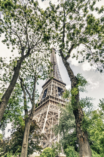 Obraz w ramie The Tower through the trees