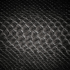 Snake black skin leather texture