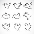 Set of vector bird icons
