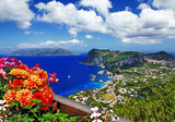 Fototapeta Kwiaty - beautiful Capri island - Italian travel series