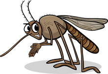 Mosquito Insect Cartoon Illustration