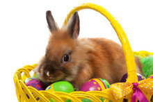Funny Little Rabbit Among Easter Eggs In Basket