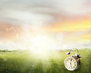 Poster - Alarm clock in sunlit field. Spring time