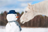 Fototapeta Konie - Portrait of grey horse with snowman