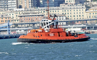 Wall Mural - tug ship in the port