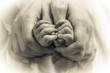 Hands of newborn baby