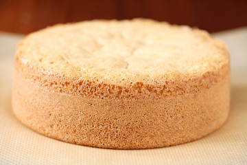 Biscuit Sponge Cake