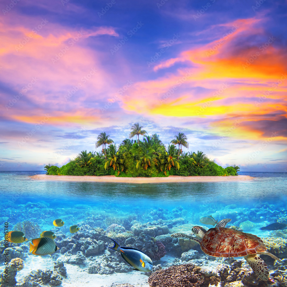Tropical island of Maldives with marine life - obrazy, fototapety, plakaty 