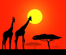 African Safari At Sunset -vector