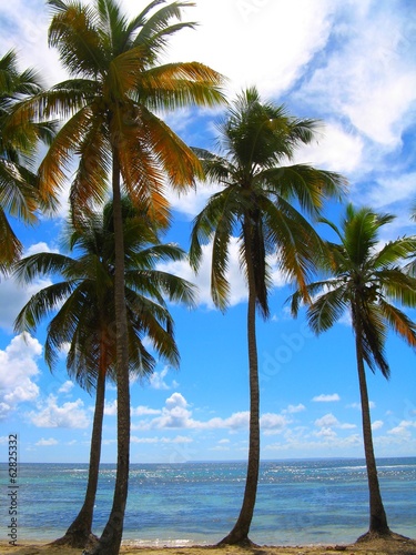 Plage De Bois Jolan Guadeloupe Buy This Stock Photo And