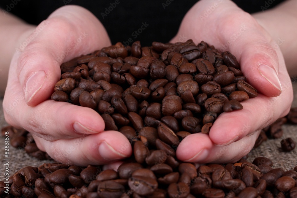 Fresh roasted coffee beans in the hands