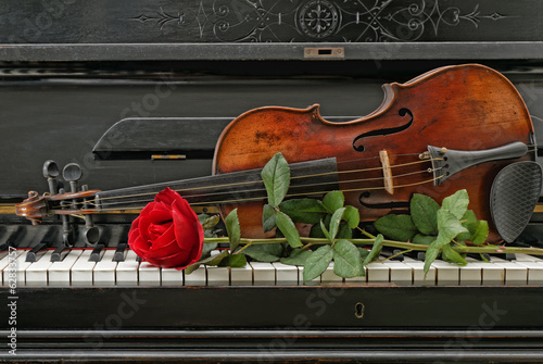 Naklejka dekoracyjna Violin piano rose