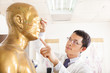 © Tom Wang - chinese medicine doctor point  acupoint on human model