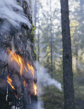 A Controlled Forest Burn, A Deliberate Fire Set To Create A Healthier And More Sustainable Forest Ecosystem. The Prescribed Burn Of Forest Creates The Right Condition For Regrowth.