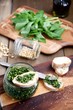 © Anna Puzatykh - Pesto sauce with ingredients
