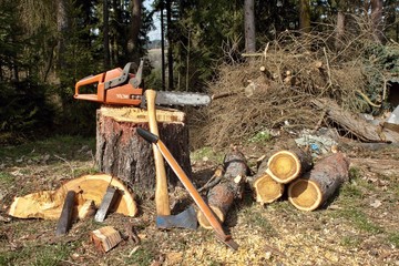 firewood, preparing for winter