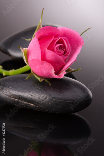 Fototapeta na wymiar Spa stone and rose flowers still life. Healthcare concept.