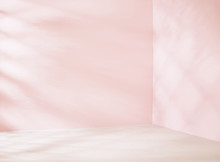 Small Empty Room In Pink Tone
