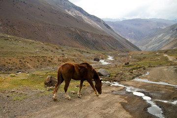 Wall Mural - Cajon del Maipo canyon and Embalse El Yeso, Andes, Chile