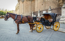 Black  Horse And Traditional Tourist Carriage In Sevilla