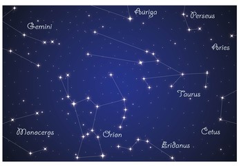 Wall Mural - constellations