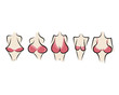 © Kudryashka - Female breast sketch for your design