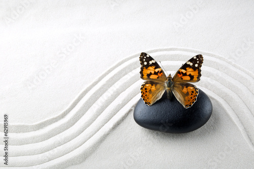Fototapeta Zen stone with butterfly