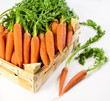 carrots in abox