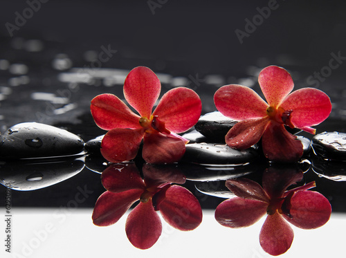 Naklejka na drzwi Two red orchid with stones reflection