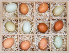 Assortment Of Different Color Chicken Eggs In Wood Soda Crate