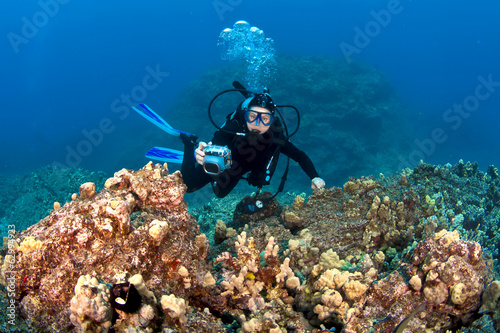 Obraz Dibond Scuba Diver robienia zdjęć na hawajskiej rafie