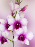 160_f_63002381_x1ggjjsexqm3v0euth1j6sesyqsbrzwe