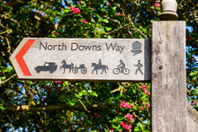 North Downs Way Signpost
