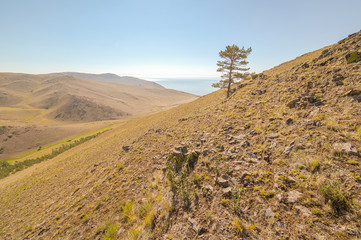 Coast of lake Baikal.